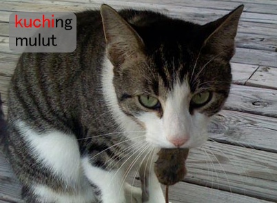 Nemonik \"kuchi\" ke \"mulut\" - kucing dengan tikus di mulutnya